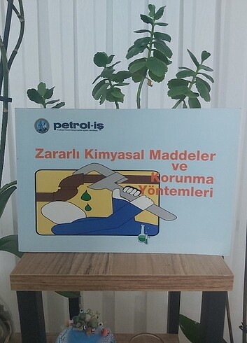 ZARARLI KİMYASAL MADDELER VE KORUMA YÖNTEMLERİ