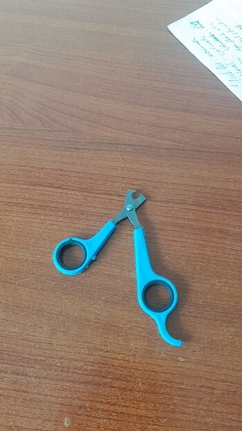 MAKAS ,KEDİ TIRNAĞI - Görsel 2