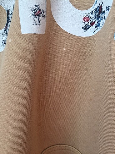 l Beden camel Renk Kadın mevsimlik sweatshirt