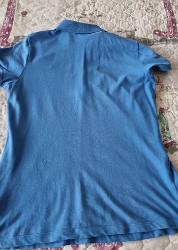 l Beden Mavi Düğmeli Kadın Polo Tişört