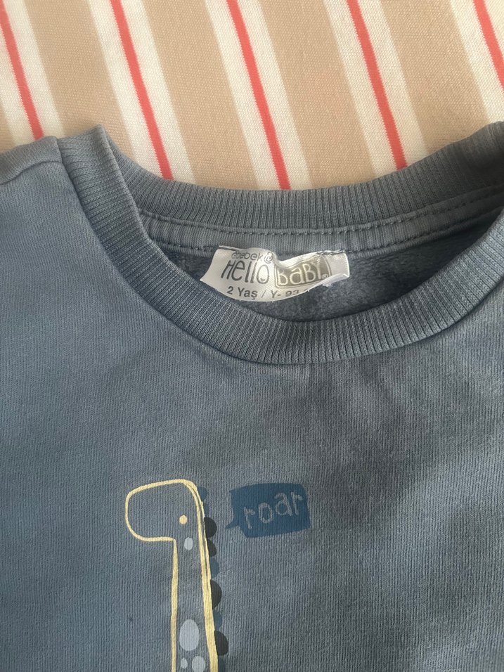 Gri Erkek Çocuk Uzun Kollu Sweatshirt - Görsel 2