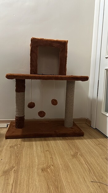  Kedi Evi