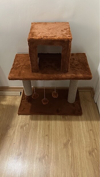  Beden Kedi Evi
