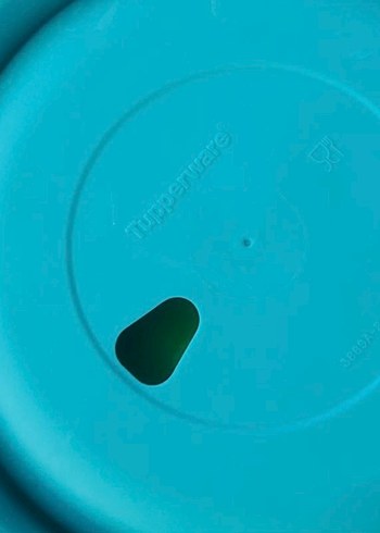 Tupperware Kaydırmaz Altlı Mama Tabağı - Görsel 8