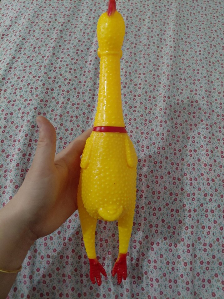 Sarı Renkli Sıkılan Oyuncak Tavuk - Görsel 3