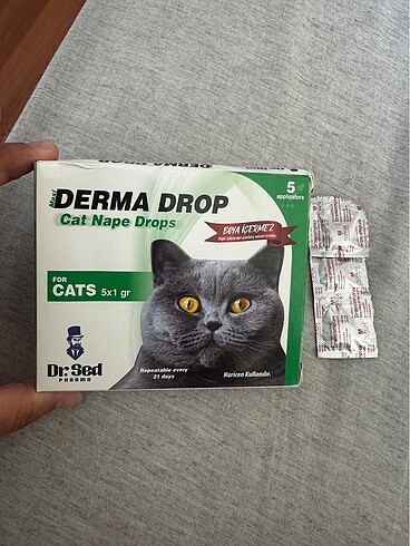 Kedi Dış Parazit