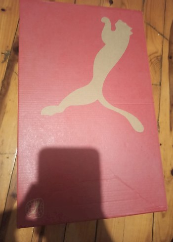 Bej Erkek Spor Ayakkabı Bağcıkları - Görsel 5