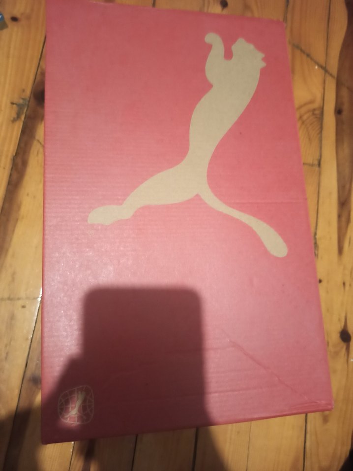 Bej Erkek Spor Ayakkabı Bağcıkları - Görsel 5