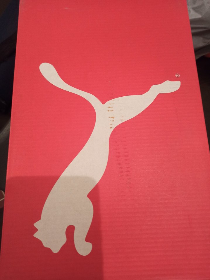 Gri Kadın Spor Ayakkabı Kadın Sneaker - Görsel 4