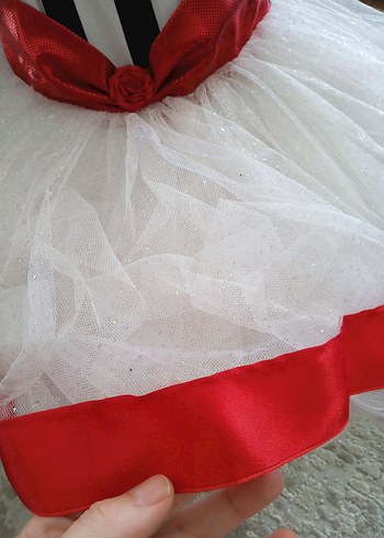 Kız Çocuk Kostümü 6 Yaş - Görsel 2