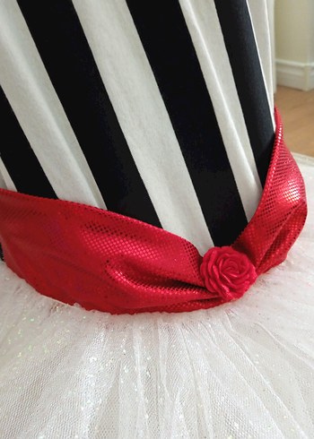 Kız Çocuk Kostümü 6 Yaş - Görsel 7