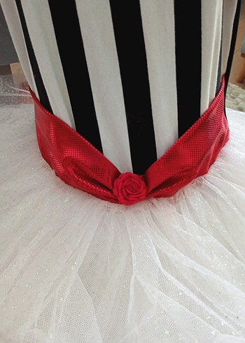 Kız Çocuk Kostümü 6 Yaş - Görsel 3