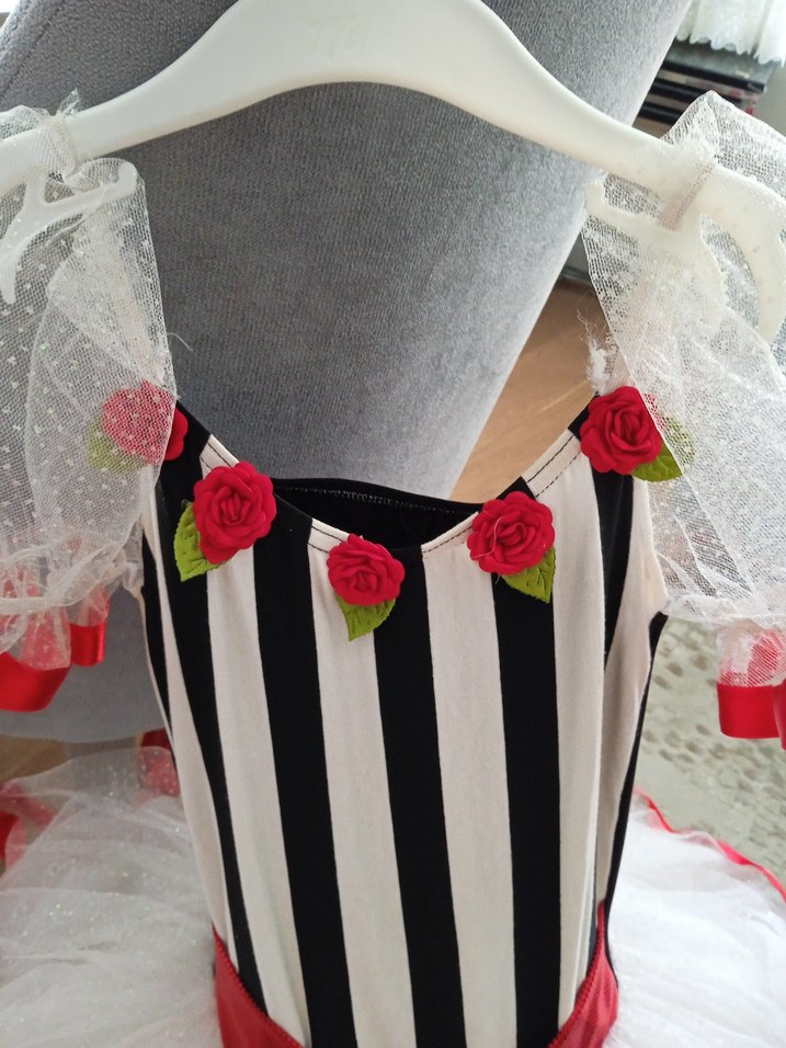 Kız Çocuk Kostümü 6 Yaş - Görsel 4