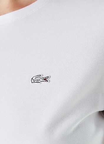 36 Beden Orijinal Lacoste Slim Fit