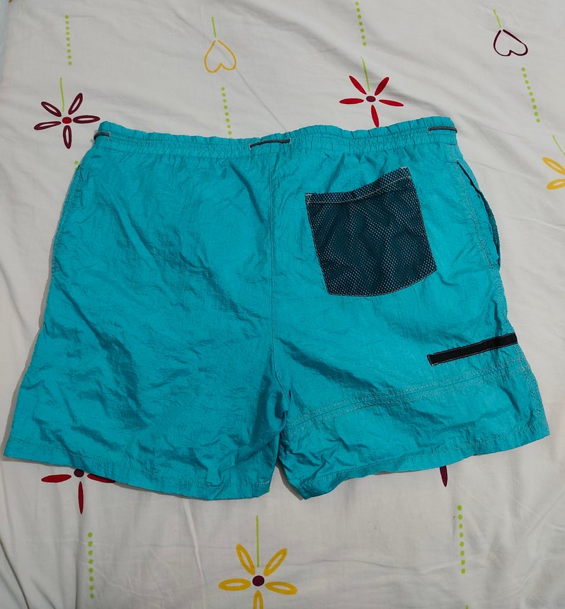 Mavi Erkek Deniz Şortu - Görsel 2