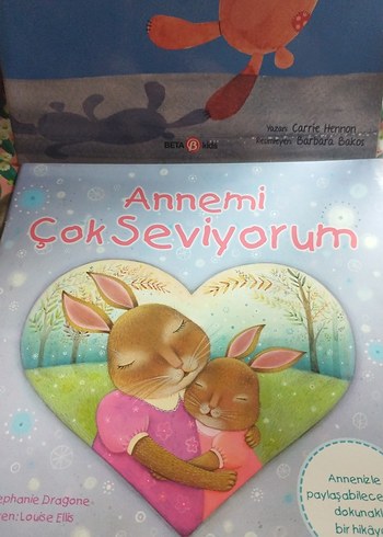 Annemi Çok Seviyorum & Yerime Geç Ayı Çocuk Kitapları - Görsel 2