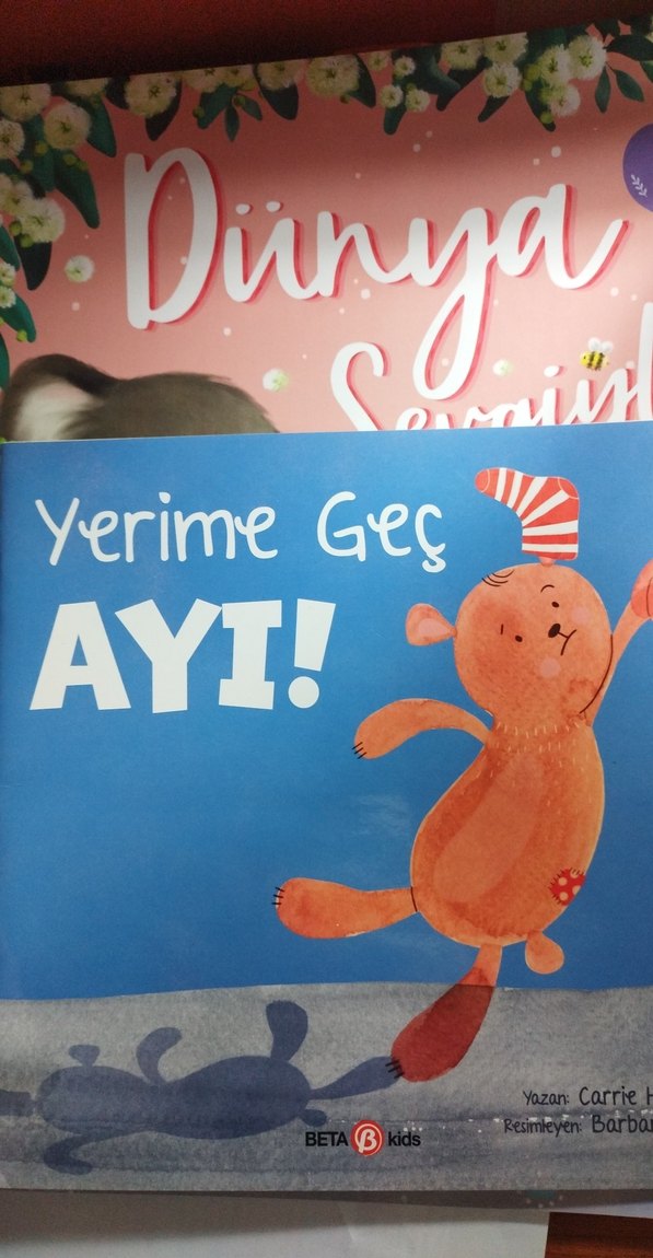 Annemi Çok Seviyorum & Yerime Geç Ayı Çocuk Kitapları - Görsel 4