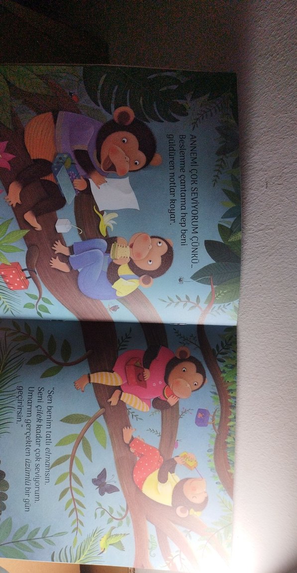 Annemi Çok Seviyorum & Yerime Geç Ayı Çocuk Kitapları - Görsel 3