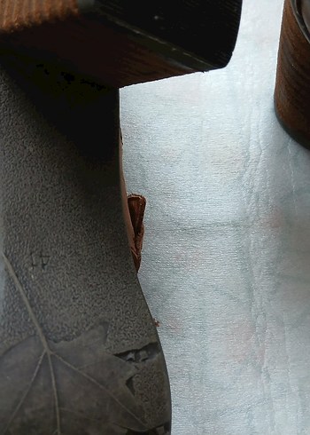 Kahverengi  deriTokalı Dolgu Topuk Kadın Ayakkabı - Görsel 4