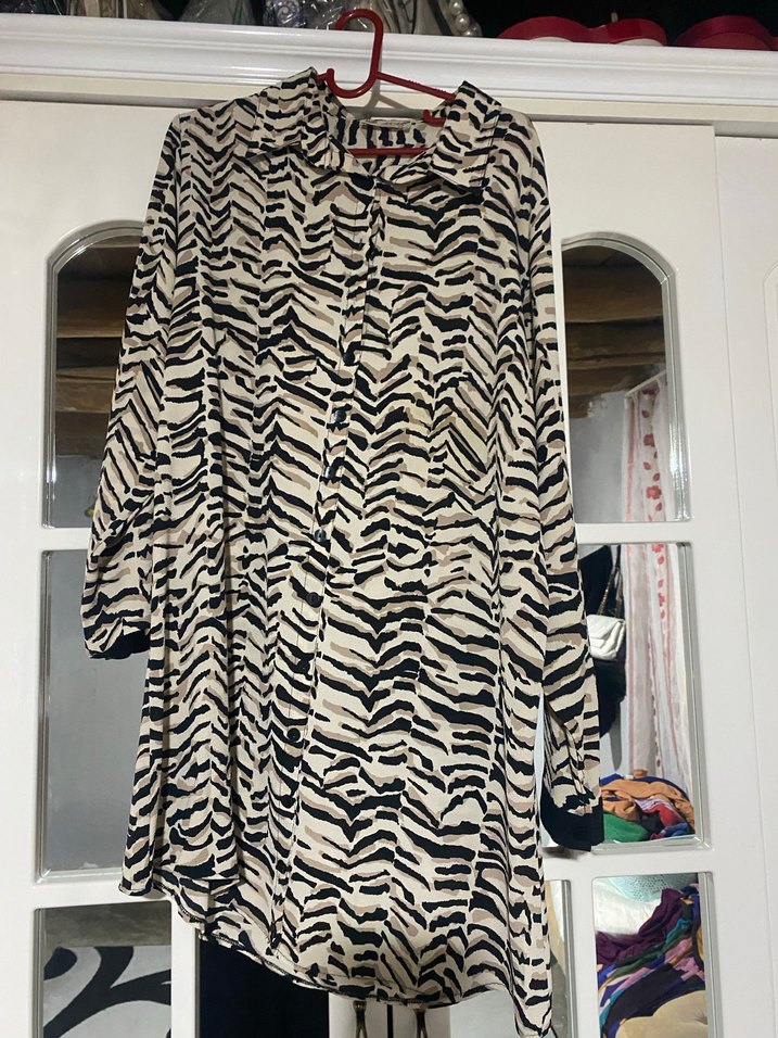 Kadın Zebra Desenli Uzun Kollu Gömlek - Görsel 2