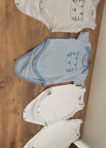 HelloBaby 1 Yaş