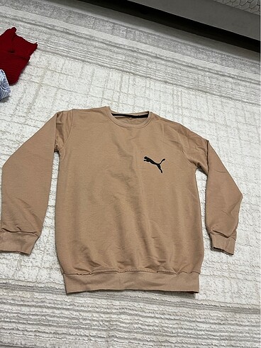 İnce sweatshirt