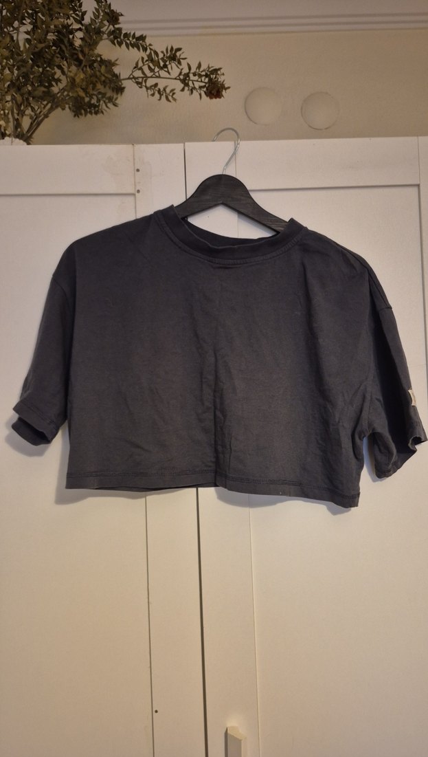 Gri Kısa Kollu Crop - Görsel 2