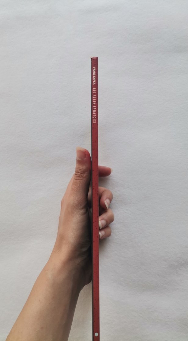 Bir Açlık Sanatçısı - Franz Kafka - Görsel 2