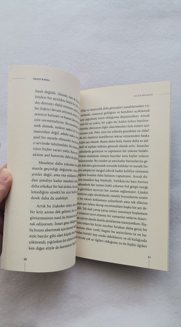 Bir Açlık Sanatçısı - Franz Kafka - Görsel 4