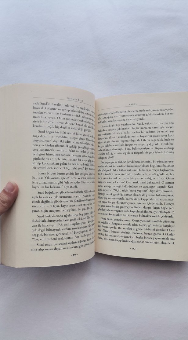 Eylül - Mehmet Rauf Romanı - Görsel 4