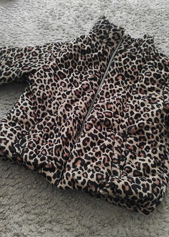 Leopar Desenli Kadın Kısa Mont