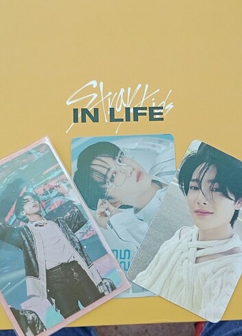 skz in life ilan