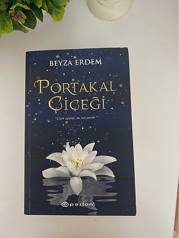 Portakal Çiçeği
