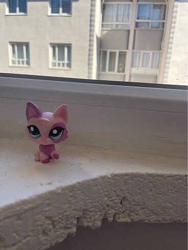 Kedi miniş