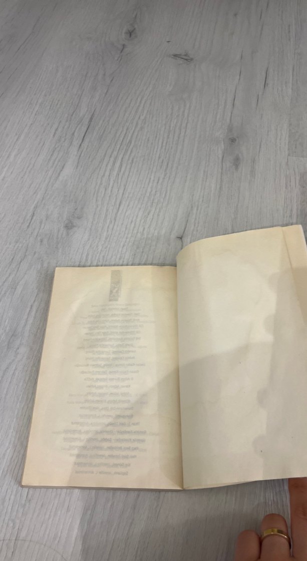 Pucca Günlük 6 - Şimdi Biz Neyiz? - Görsel 2