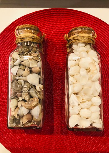 Yurt Dışından Gerçek Deniz Kabuğu Dekoratif AksesuarYENİ,ETİKET - Görsel 2