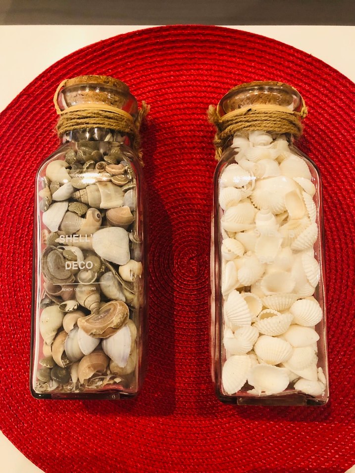 Yurt Dışından Gerçek Deniz Kabuğu Dekoratif AksesuarYENİ,ETİKET - Görsel 2