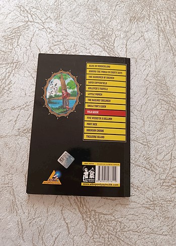 Wild Geese - Cornellia Meigs - Görsel 2