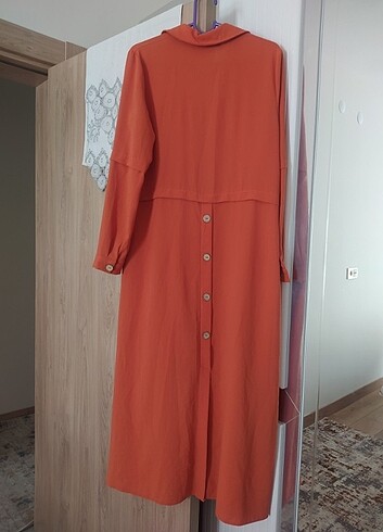 Beta Tunik