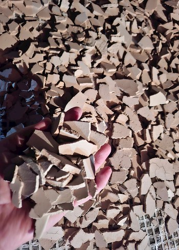 doğal yenilebilirkil - Görsel 7