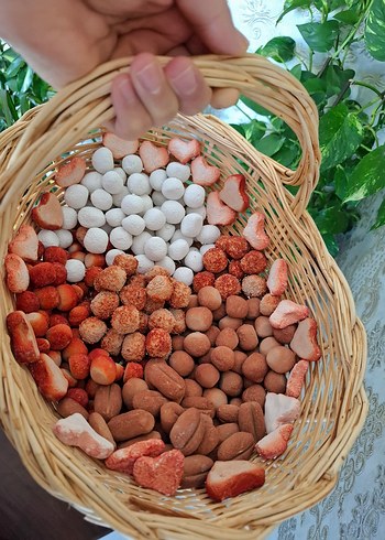 Doğal yenilebilirkil kurabiye - Görsel 5