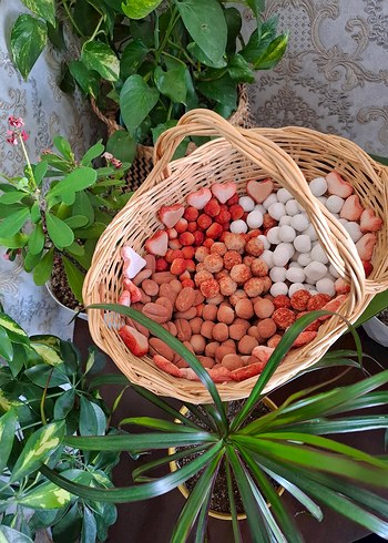 Doğal yenilebilirkil kurabiye - Görsel 4