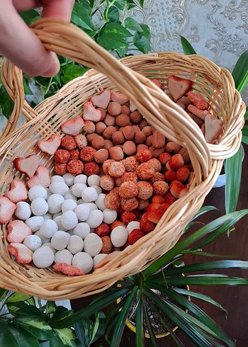 Doğal yenilebilirkil kurabiye - Görsel 3