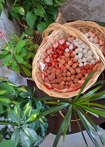 Doğal yenilebilirkil kurabiye - Görsel 2