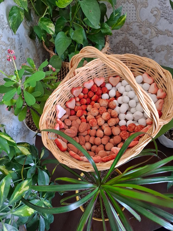 Doğal yenilebilirkil kurabiye - Görsel 4