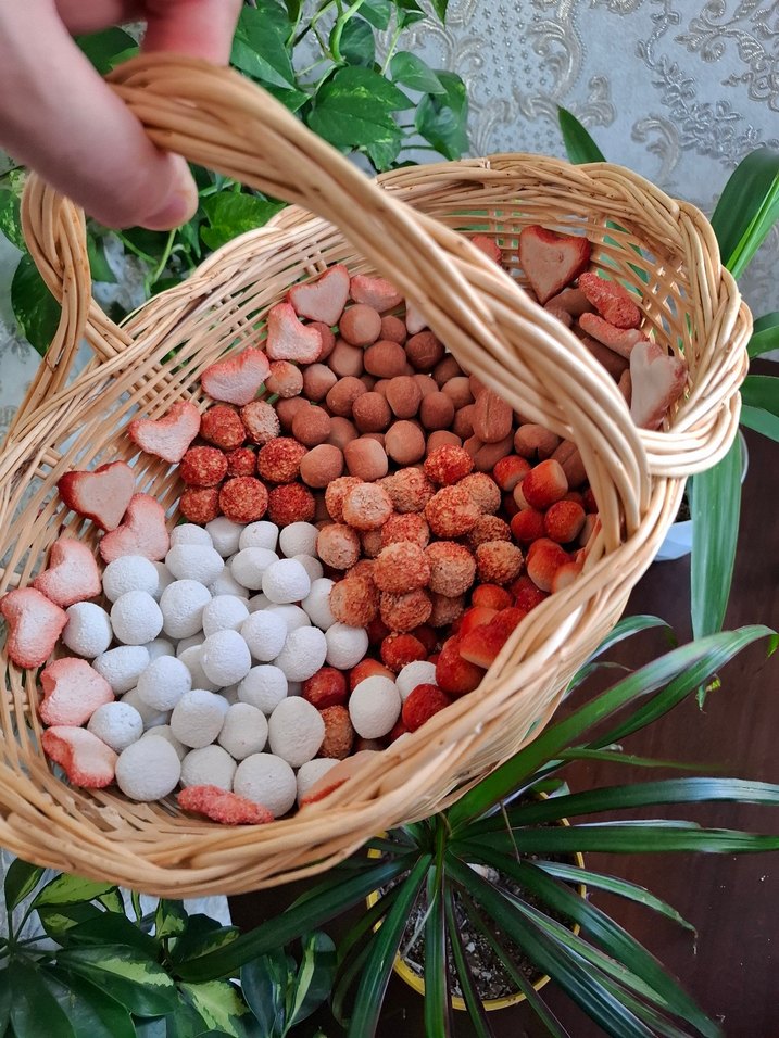 Doğal yenilebilirkil kurabiye - Görsel 3