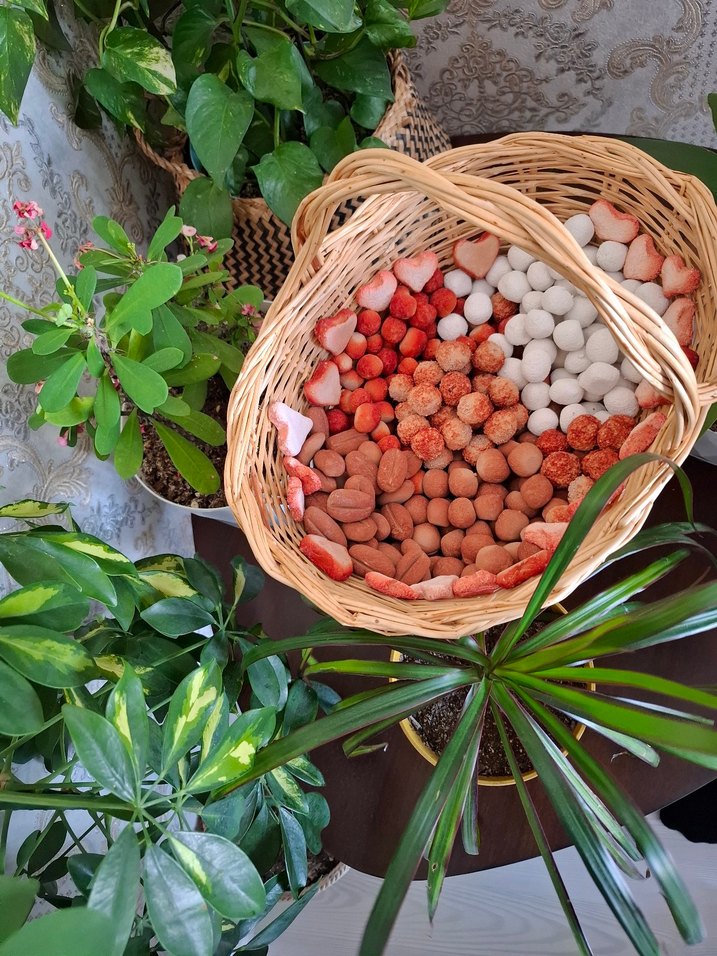 Doğal yenilebilirkil kurabiye - Görsel 2