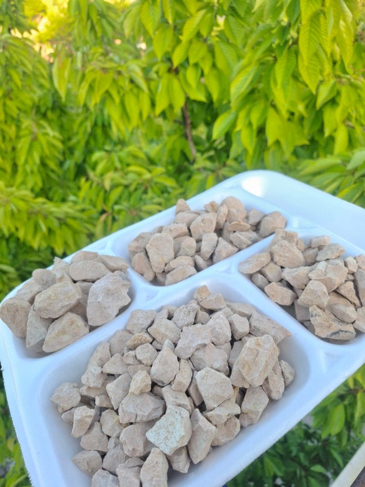 Doğal yenilebilirkil - Görsel 2