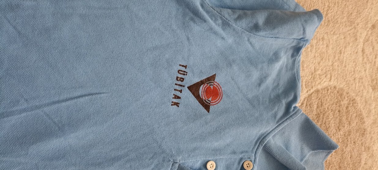 Erkek Mavi V Yaka Kısa Kollu Polo Tişört - Görsel 3