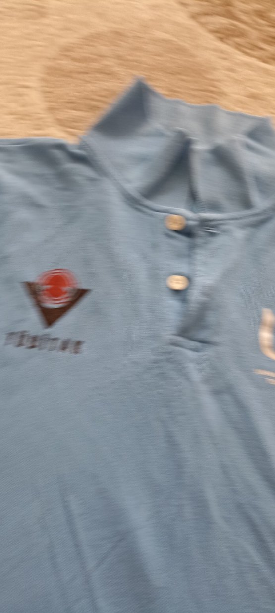 Erkek Mavi V Yaka Kısa Kollu Polo Tişört - Görsel 4